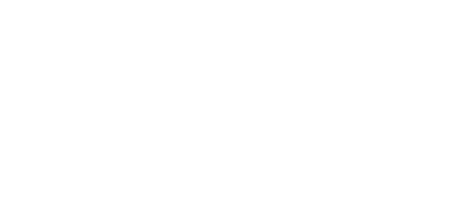Max Authority SEO